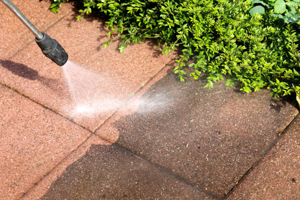 Best Deck Cleaning Services  in Woods Creek, WA